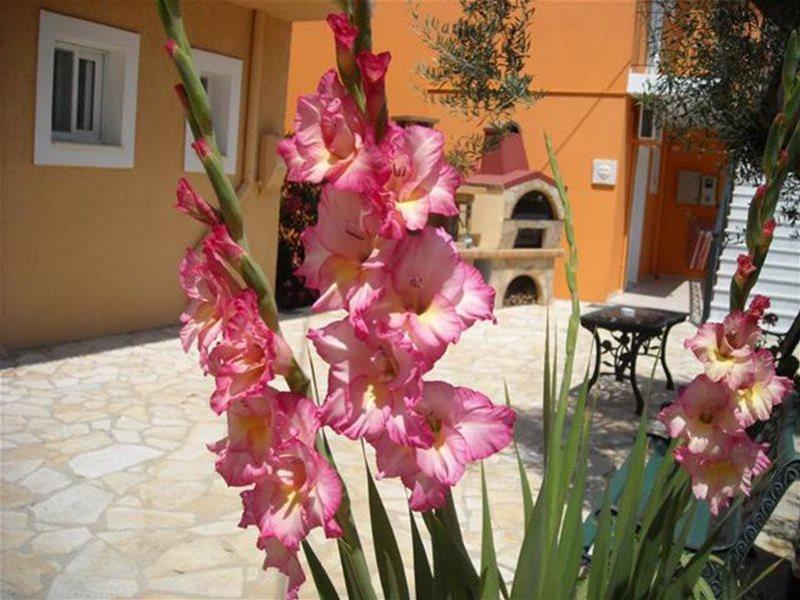 Erietta Studios