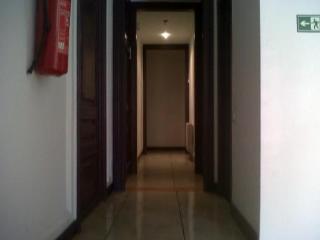 Violeta hostel