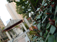 Hangzhou New Wind Youth Hostel