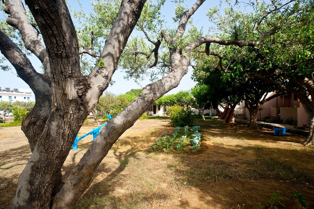 DOLPHIN APARTMENTS